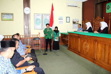 IMG 9482