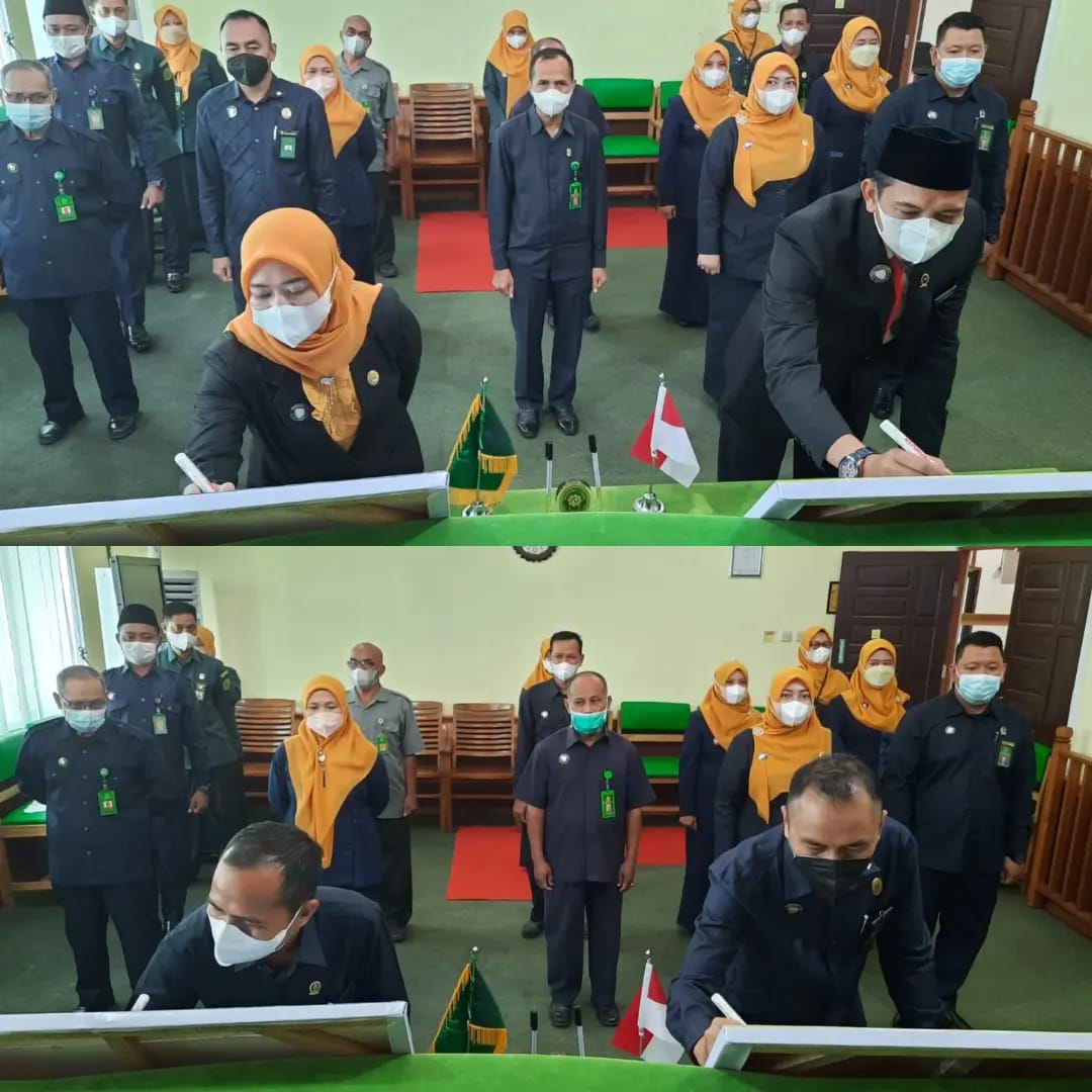 WhatsApp Image 2022 02 08 at 14.47.10